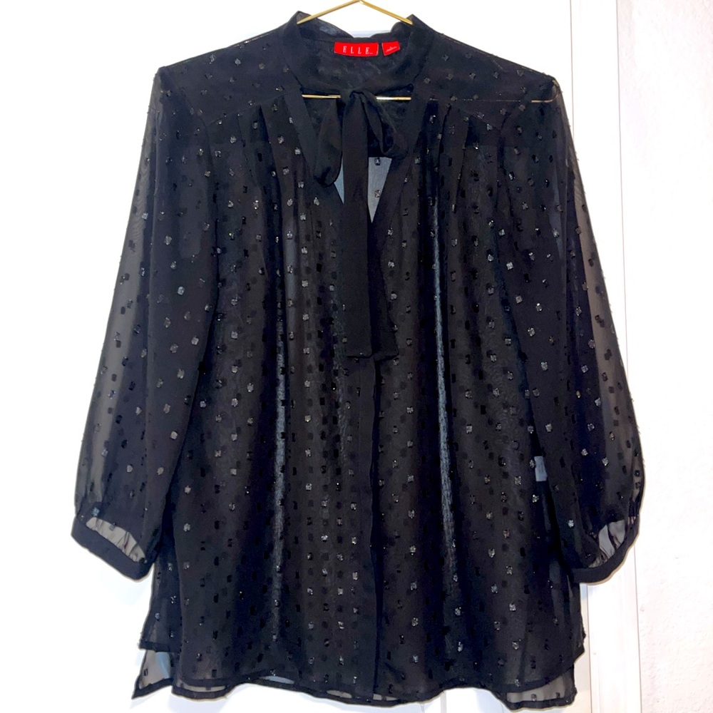 Sheer Tie-Neck Silk Blouse